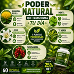 🌿 Rhodiola Rosea Premium | Energía Natural y Bienestar Diario⚡| 60 Cápsulas